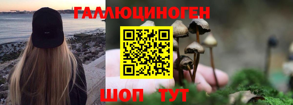 Галлюциногенные грибы GOLDEN TEACHER Железноводск